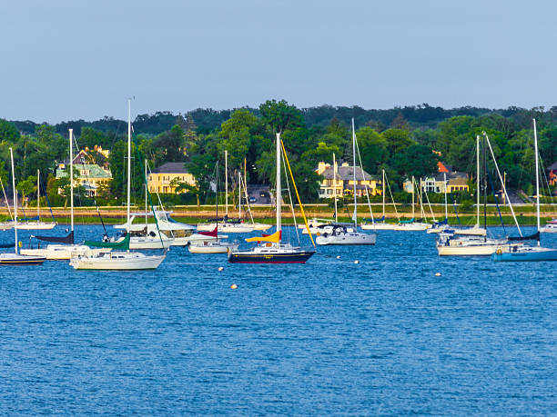 istock summer view of the bay 501537119