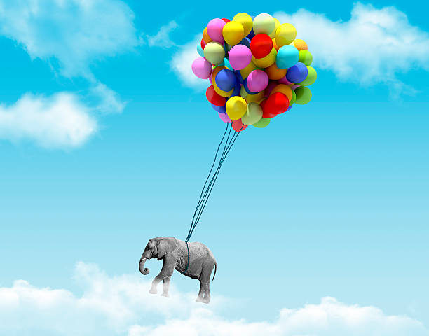 istock Elephant being lifted by balloons 501537320