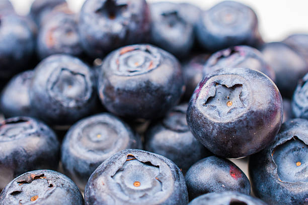 istock Blueberry, berry fruit, on pile in close up image 501537605