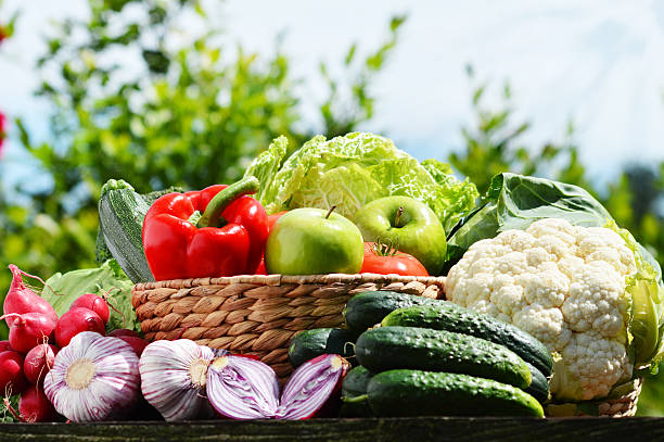 istock Fresh organic vegetables in wicker basket in the garden 501537689