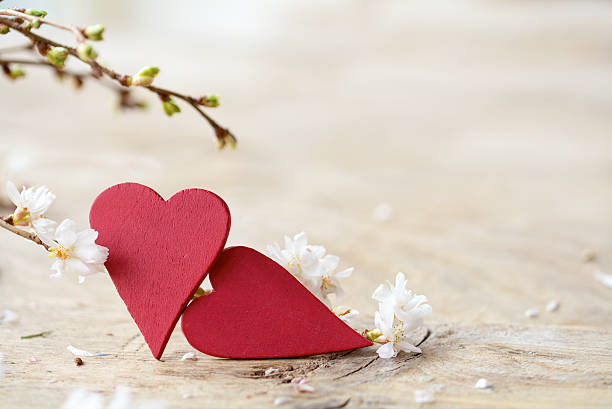 istock two red hearts with blooming branches on bright rustic wood 501540932