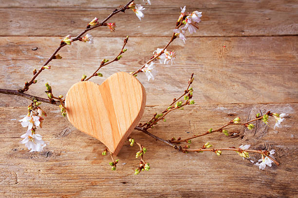 istock heart shape with blooming branches on rustic wood love symbol 501541502