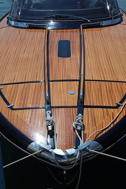 istock luxury speedboat successful person 501548086