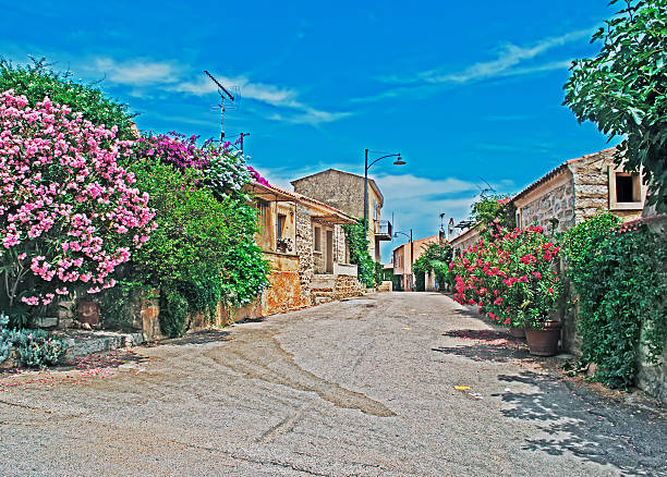 narrow street with flowers in San Pantaleo, Sardinia