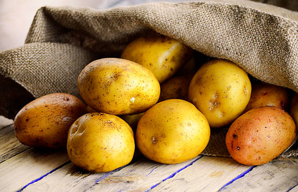 istock the harvest of potatoes 501548274