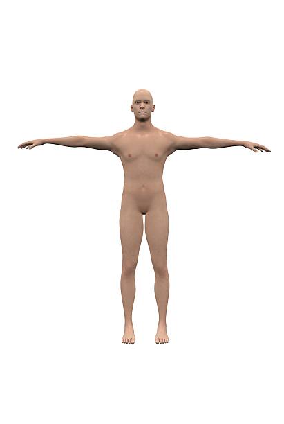 istock Caucasian male figure 501549215