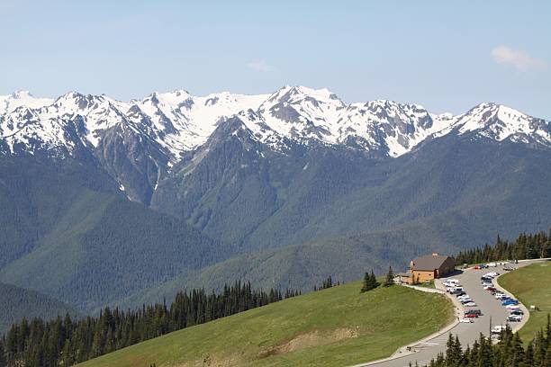 istock The View From Hurricane Ridge In Olympic National Park 501549233