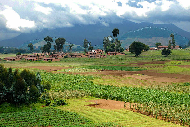 Virunga volcanoes around Mudende Mugongo Rwanda Central Africa Volcanic cinder cones and farming in rich volcanic soils overlooking former AUCA campus Mudende Rwanda abandoned and derelict buildings left after the genocide.  In the background are clouds roiling over Nyiragongo Volcano in the Democratic Republic of Congo across the border from Rwanda. agroforestry stock pictures, royalty-free photos & images