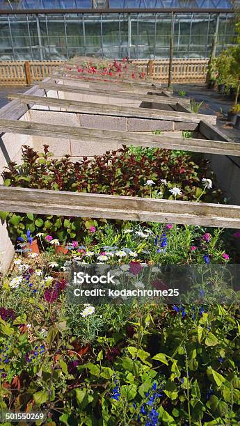 Gardens Stock Photo - Download Image Now - August, Botanical Garden, Botany