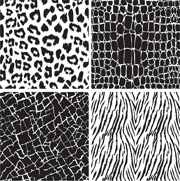 Set of animal skin seamless patterns Black and white set of animal skin seamless patterns- leopard, crocodile, elephant and tiger black and white cheetah print stock illustrations