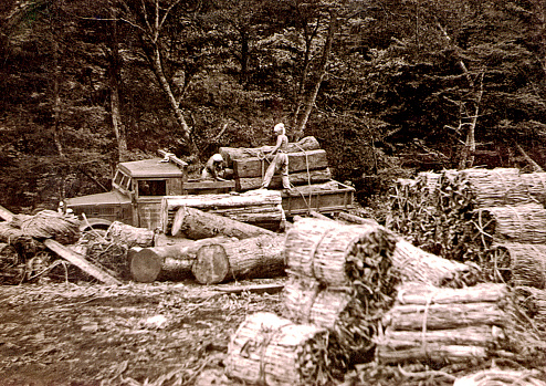 1940's photograph of a logger taken in rural japan. Vignette in original film. Scanned film with significant grain.