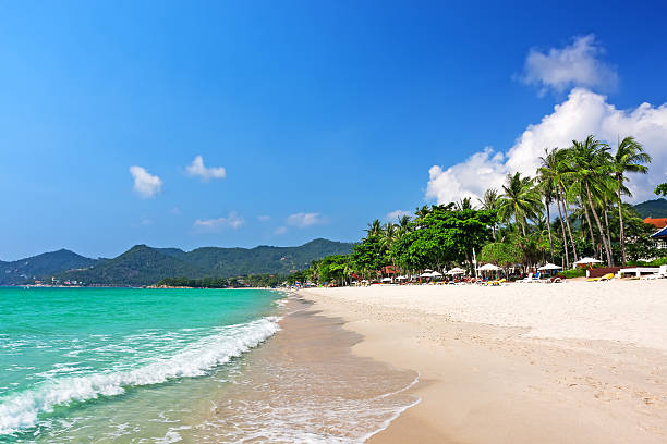 istock View of Chaweng beach, Koh Samui  Thailand 501552609