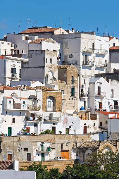 istock Panoramic view of Pisticci. Basilicata. Italy. 501554251