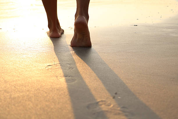 istock Girl walking on wet sandy beach leaving footprints 501567958