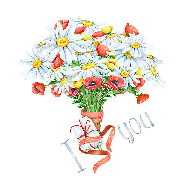 jasny watercolor bukiet z małym polu - poppy single flower red white background stock illustrations