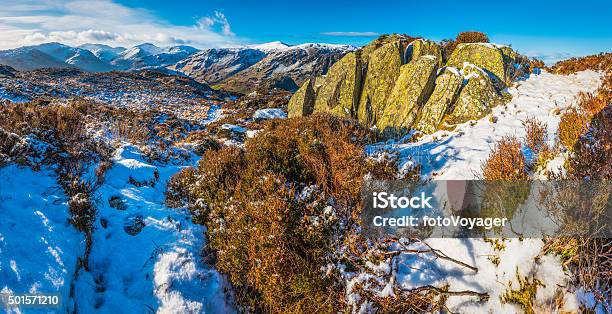 Lake District Golden Heather Crisp White Snow Mountain Fells Panorama Stock Photo - Download Image Now