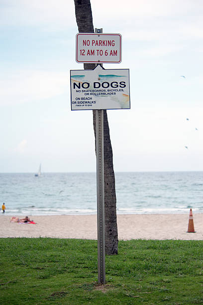 istock No Dogs sign on the beach 501571229