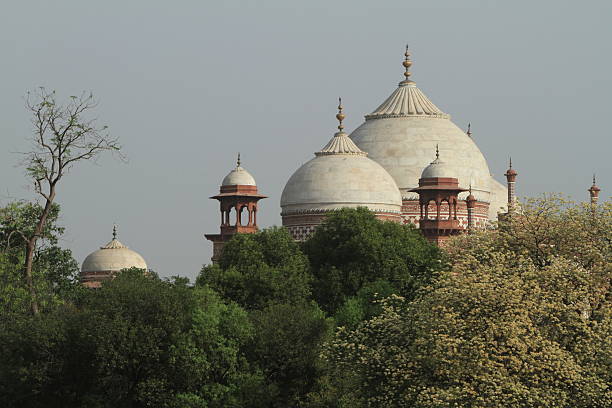 das taj mahal en indien - sehenwürdigkeit fotografías e imágenes de stock