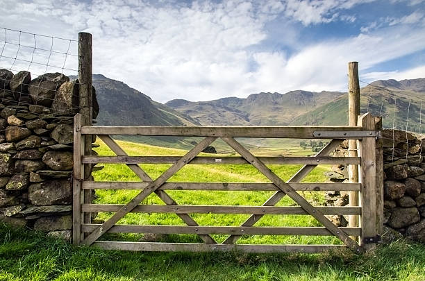 istock dungeon ghyll in the lake district 501571359