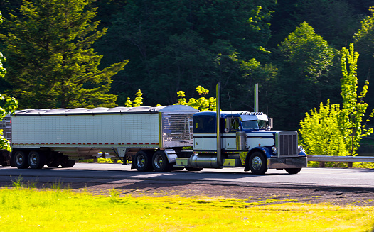 Large stylish semi truck with chrome accents in the sun carries two trailers on the highway with security fencing surrounded by bright green trees bushes and grass. Side view. Big Rig in dark blue and white colors has high direct exhaust pipes, extended cab and chrome visor.