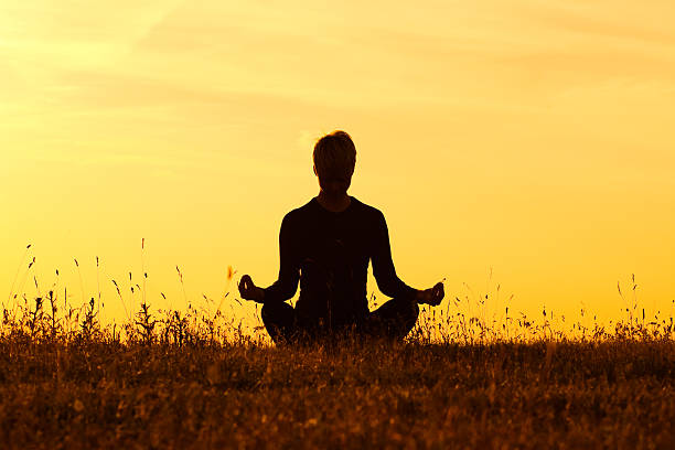 istock Yoga-Ardha Padmasana/Half-lotus pose 501572885