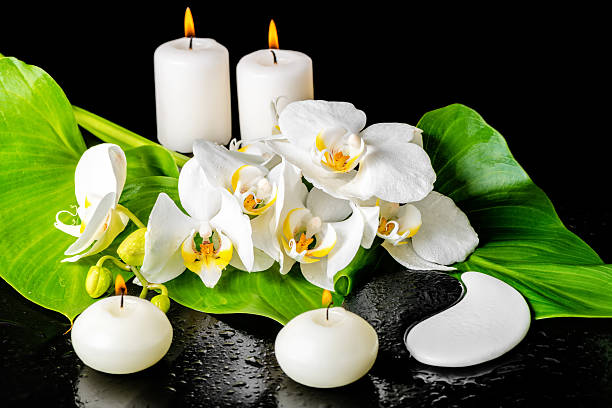 istock spa concept of orchid flower, phalaenopsis, leaf with dew 501575112