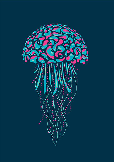 meduza - animal animal themes sea below stock illustrations