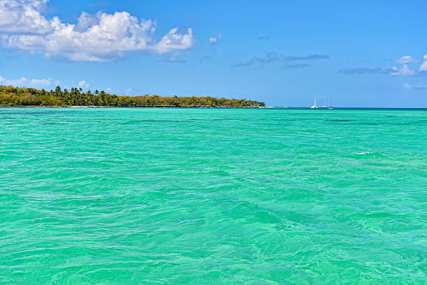 istock Tropical Sea with Turquoise Water, Blue Sky And white Clouds 501575400