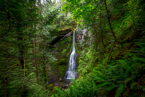 Marymere Falls in Olympic National Park in Summer