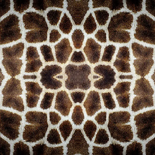 Photo of Seamless giraff skin in best texture background