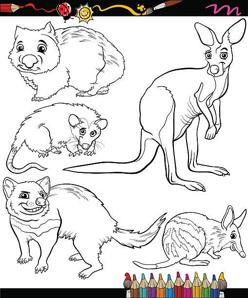 ilustraciones, imágenes clip art, dibujos animados e iconos de stock de conjunto de animales de dibujos animados libro para colorear - kangaroo animal humor fun