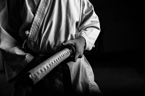 istock Young martial arts fighter with katana 501593478