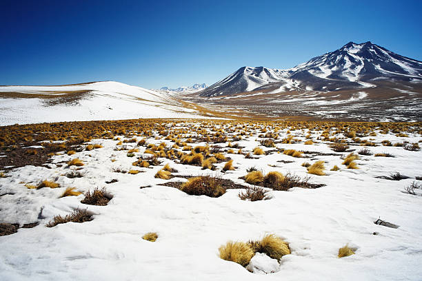istock Landscape in the Andes 501594474