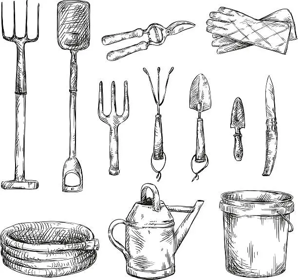 Vector illustration of Set of gardening tools drawings, vector illustrations