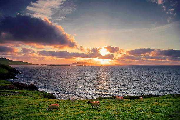 istock L0039  Dingle Peninsula, Co.Kerry, Ireland 501596236