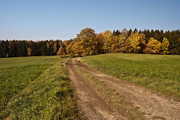 istock autumn countryside with foot-path and colorful trees 501597698