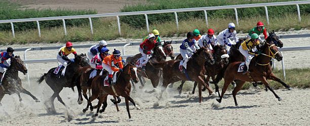 競馬で pyatigorsk ます。 - horse horse racing animal head horseracing track ストックフォトと画像