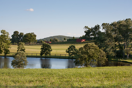 Peaceful meadows with pond and red barns