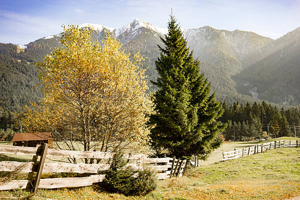 istock Alpine scenery in the Austrian Tirol 501599722