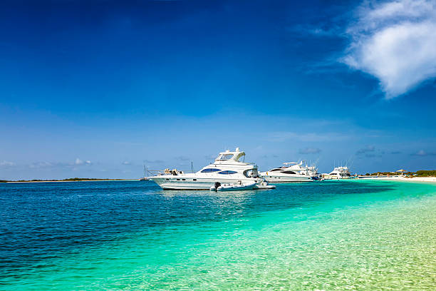 istock Luxury Yachts anchored in a tropical exotic island beach 501601540
