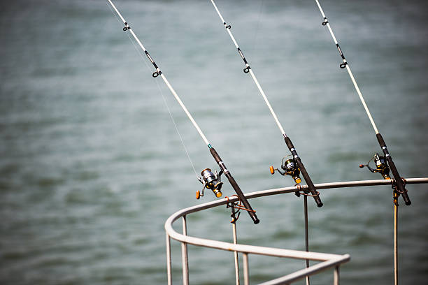 istock fishing rod on the river 501601690