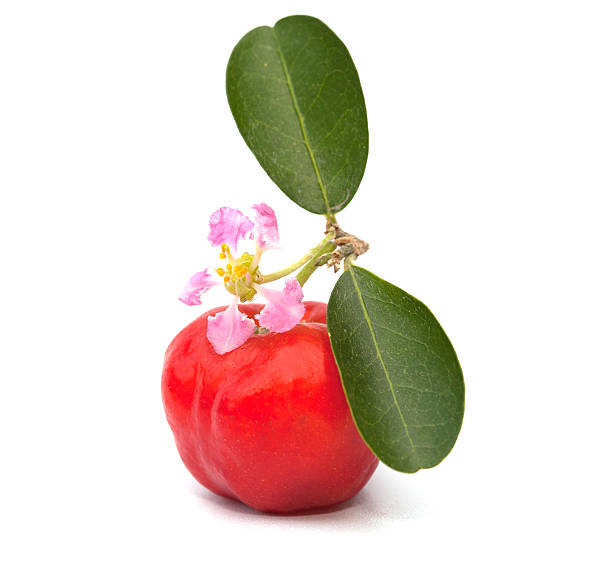 Acerola fruit isolated on the white background stock photo
