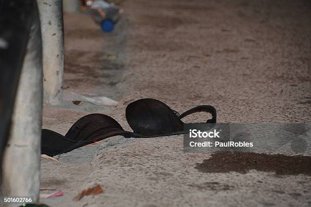 Discarded Bra Stock Photo - Download Image Now - Sexual Assault, Teenager, Party - Social Event