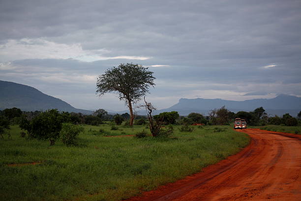 istock landscape in tsavo east national park 501604694