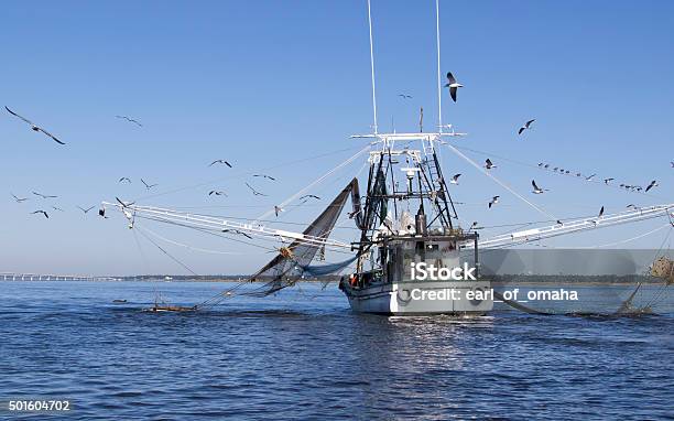 Gulf Coast Shrimping Boat In Biloxi Stock Photo - Download Image Now - Fishing Industry, Shrimp Boat, Fishing