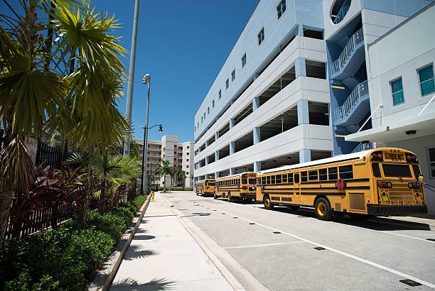 istock Three school buses parked  in the city 501606718