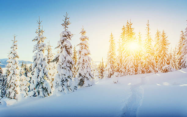 fantástico paisaje de invierno y utilizar senderos que conduce al monte - winter nobody forest sunlight fotografías e imágenes de stock