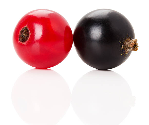 istock red and black currants with leaves 501612387