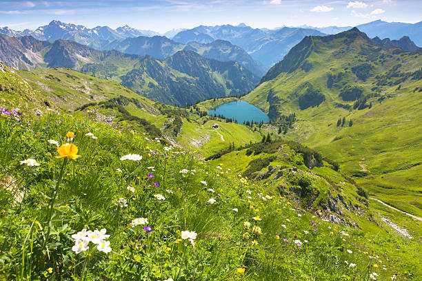 die alpinen see seealpsee nahe oberstdorf, bayern, deutschland - allgau stock-fotos und bilder