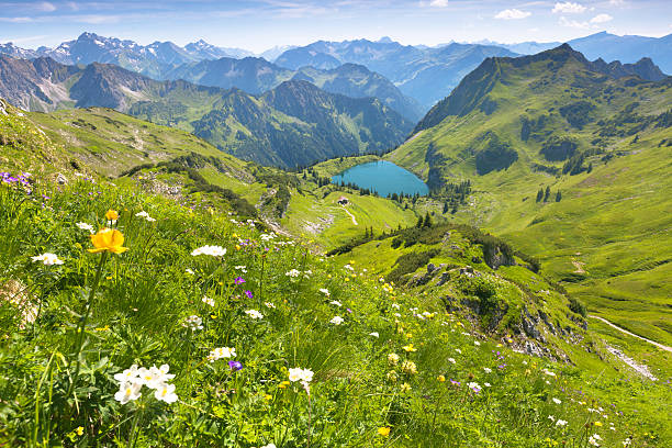 alpejskie jezioro seealpsee w pobliżu oberstdorf, bawaria, niemcy - allgau germany bavaria european alps zdjęcia i obrazy z banku zdjęć